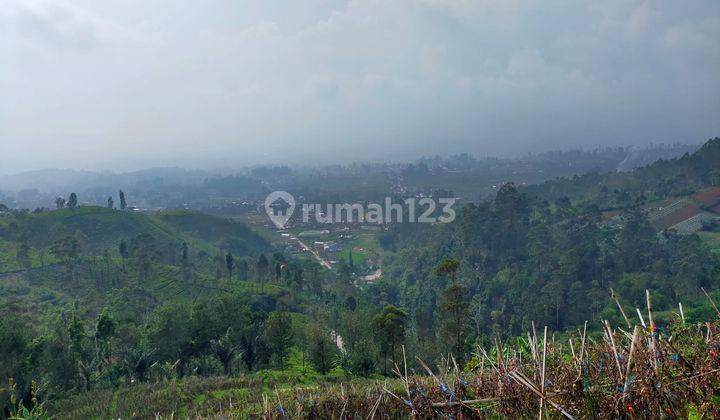 Tanah Padat Cocok Buat Resort dan Villa View  di Ciwidey Bandung 11