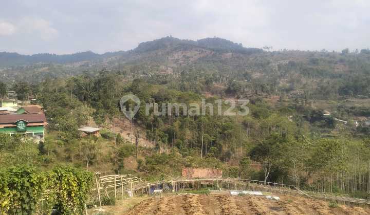 Dijual Tanah Padat View Keren Pasirjambu Ciwidey Bandung