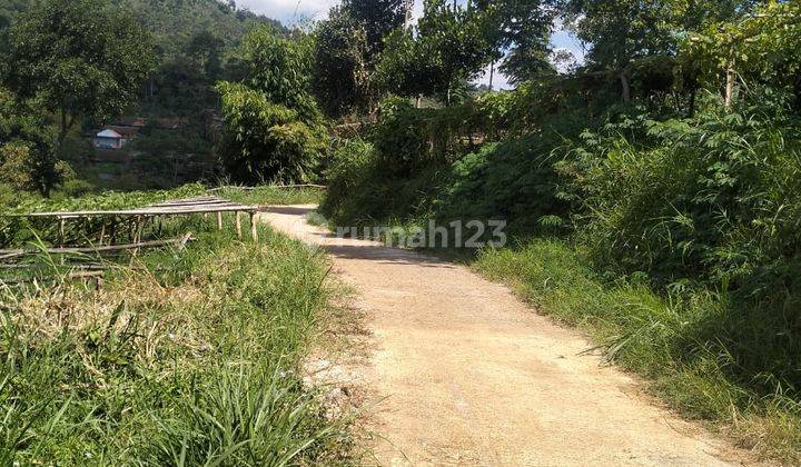 Dijual Tanah Padat Daerah PAsir Jambu Ciwidey Bandung 2