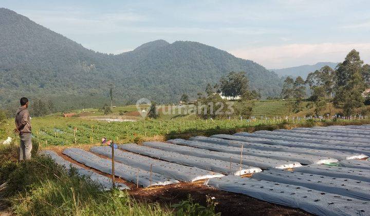 Dijual Tanah Datar View Pegunungan Pangalengan  1