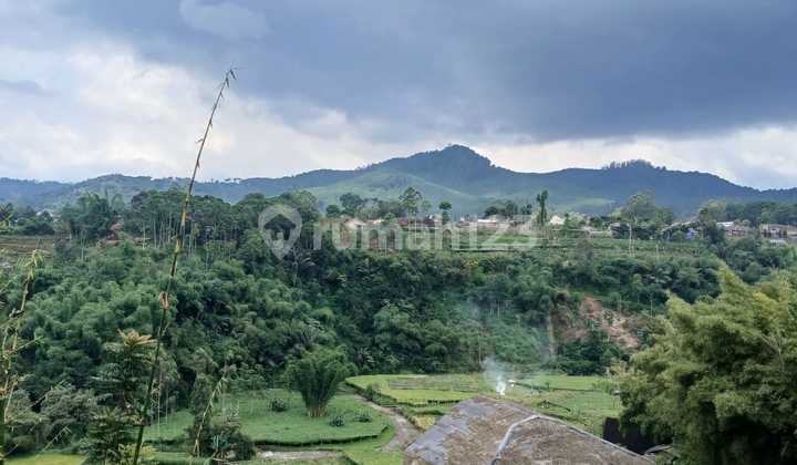 Jual Tanah Padat Cocok Buat Villa View Bagus di Ciwidey Jual Tanah Padat Cocok Buat Villa View Bagus di Ciwidey