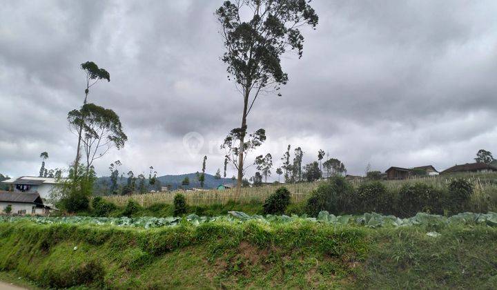 Dijual Tanah Mainroad View Danau Situ Cileunca Pangalengan   1