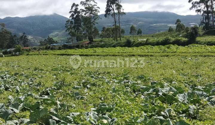 Jual Tanah Padat Cocok Villa Pertanian View Gunung Malabar Pangalengan Jual Tanah Padat Cocok Villa Pertanian View Gunung Malabar Pangalengan