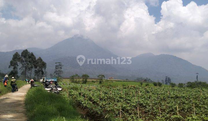 Dijual Tanah Padat Buat Pertanian,Villa View Gunung Tilu Pangalengan Bandung 1