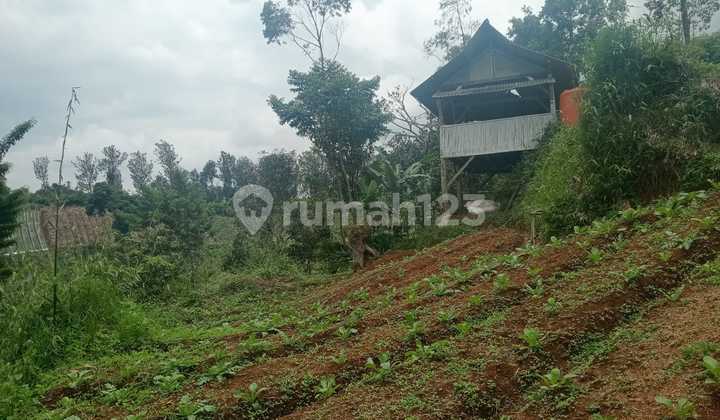 Dijual Tanah Padat Cocok Buat Villa, Pertanian Ciwidey Tenjolaya