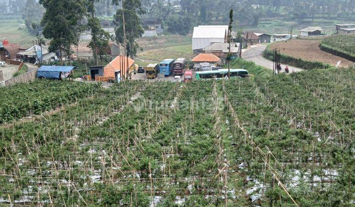 Dijual Tanah Padat View Situ Cileunca Pangalengan Bandung 1