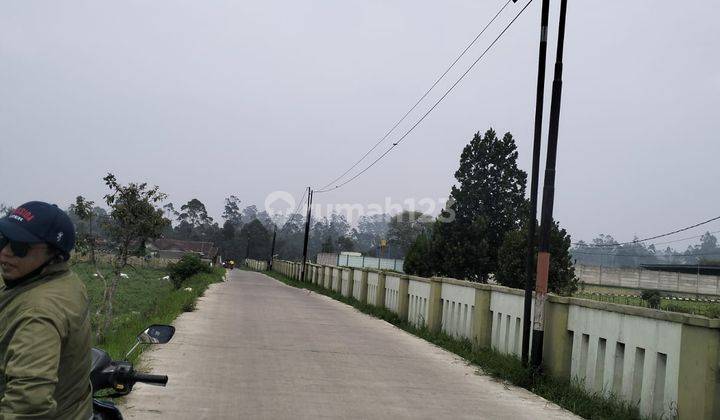 Dijual Tanah Datar Cocok Buat Pertanian & Perumahan Pangalengan Bandung 2