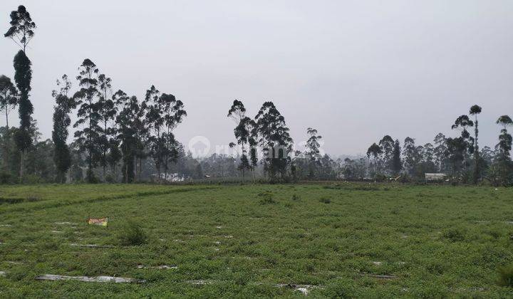 Dijual Tanah Datar Cocok Buat Pertanian & Perumahan Pangalengan Bandung 1