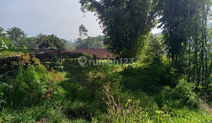 Dijual Tanah Murah Cocok Buat Villa View Pegunungan di Ciwidey 1