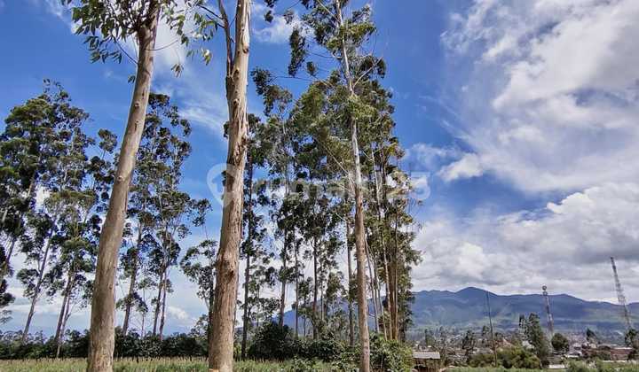 Dijual Tanah Datar View Pegunungan Pangalengan