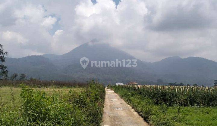 Dijual Tanah Padat Buat Pertanian,Villa View Gunung Tilu Pangalengan Bandung 2