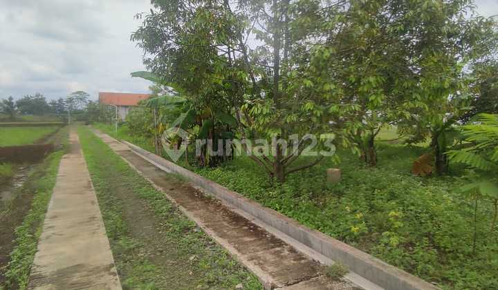 Dijual Tanah KAvling Siap Bangun Kalimanah Purbalingga