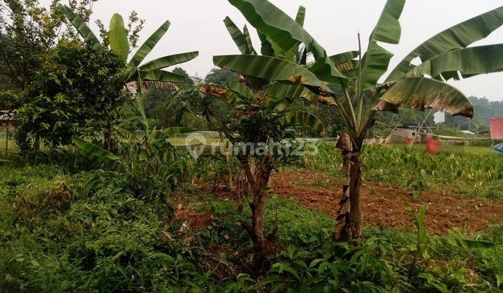 &Di jual tanah murah , Investasi Bogor Barat strategis Jawa Barat  2