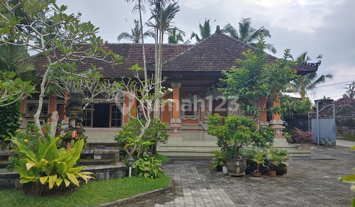 Rumah Luas 809 Are Di Tampaksiring Gianyar 1