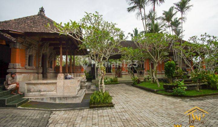 Dijual Rumah Murah 809m2 Di Lingkungan Asri Tampaksiring 1