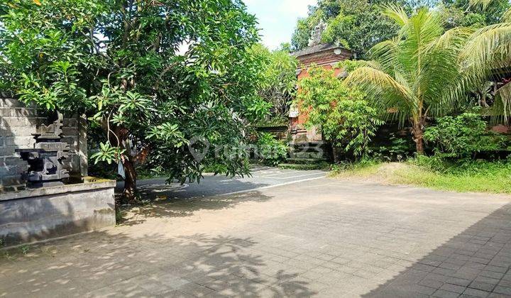 Rumah Style Bali Harga 7m Luas 13 Are Di Celuk Bali 2