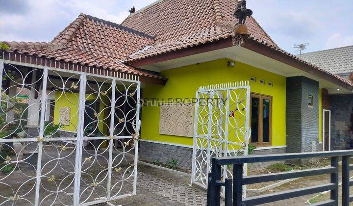 Rumah Murah Jogja Butuh Uang Tanah Luas 2