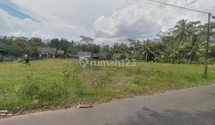 Jual Tanah Kavling Luas Tepi Jalan Raya Di Borobudur 1