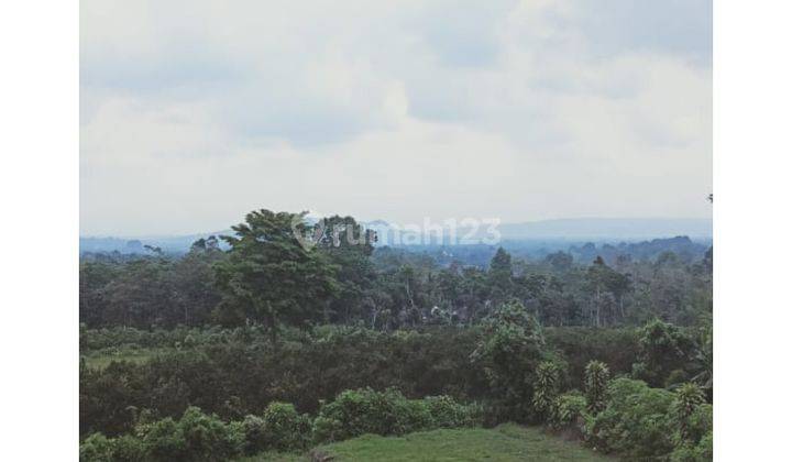 Dijual Tanah Kavling Murah Di Malang Raya View Pegunungan Harga 89 Jutaan 1