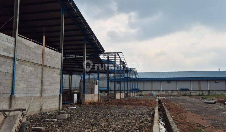 Gudang Baru di Millenium Industrial Park, Cikupa, Luas 1359 M2. 2