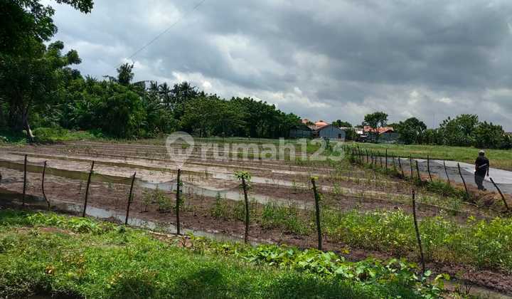 Land for Sale in Teluk Naga, Near Soekarno-Hatta Airport Land for Sale in Teluk Naga, Near Soekarno-Hatta Airport
