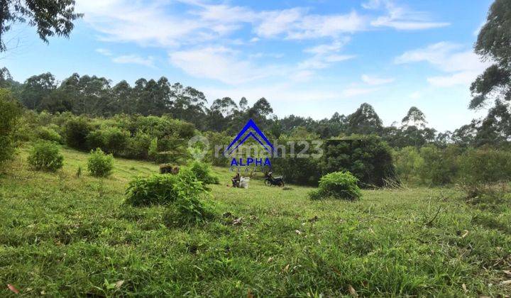 Dijual Tanah Sebelah Dusun Bambu Cocok Untuk Usaha 2
