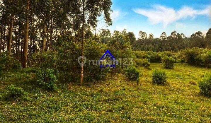 Dijual Tanah Sebelah Dusun Bambu Cocok Untuk Usaha 3