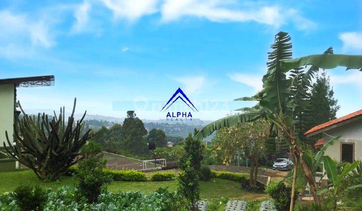 Dijual Tanah Sebelah Dusun Bambu Cocok Untuk Usaha 4