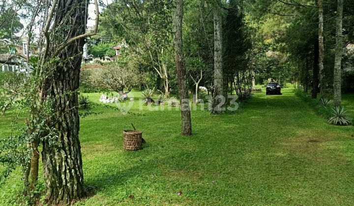 Dijual Rumah Hitung Tanah Di Jalan Raya Setiabudi Lembang Mainroad Dijual Rumah Hitung Tanah Di Jalan Raya Setiabudi Lembang Mainroad