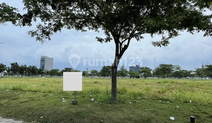 Sell Fast Land / Commercial Plots Brooklyn PIK 2 Sell Fast Land / Commercial Plots Brooklyn PIK 2