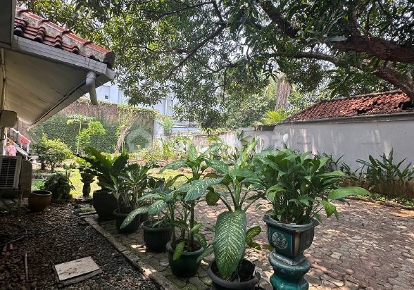 Rumah Asri Bangunan Vintage Halaman Depan Dan Samping Luas Di Menteng Jakarta Pusat 2