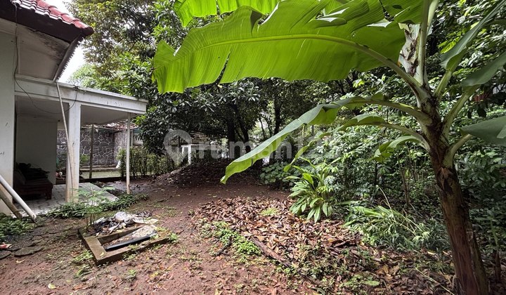 Rumahdibawah Harga NJOP Lokasi Strategis Bangunan Lama Dimenteng Jakarta Pusat