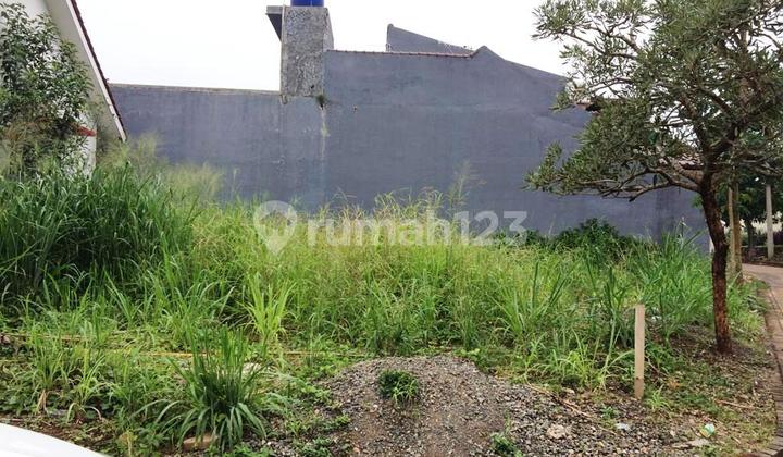 Di Jual Tanah Komplek Erfina Kencana Regency, Cibinong Bogor Di Jual Tanah Komplek Erfina Kencana Regency, Cibinong Bogor