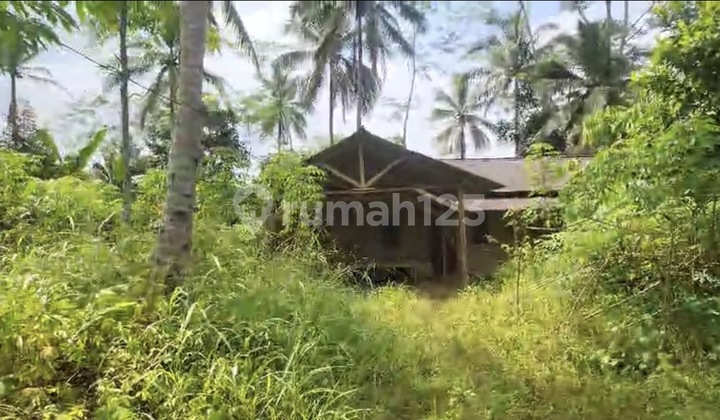 Wide Land in Citalahab Village, Banjar, Pandeglang Banten