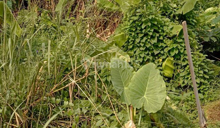 Dijual Tanah Kotak SHM di Jln Salak Pamulang Tangsel. Mrn Efsaw 1