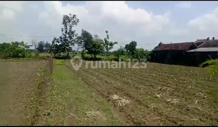 Dijual Tanah Di Sleman yogya