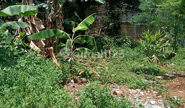 Sell Land In Mijen 1