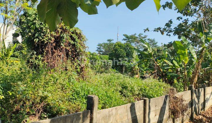 Jual Tanah Di Klentengsari Deket Undip Tembalang 1