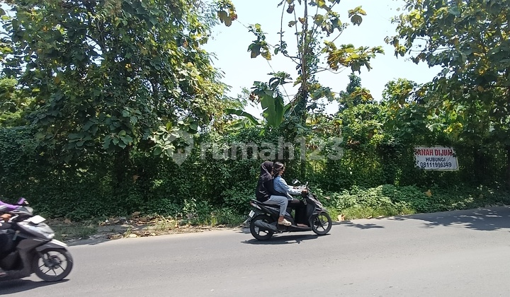 Tanah di Beringin Ngaliyan Semarang Tanah di Beringin Ngaliyan Semarang