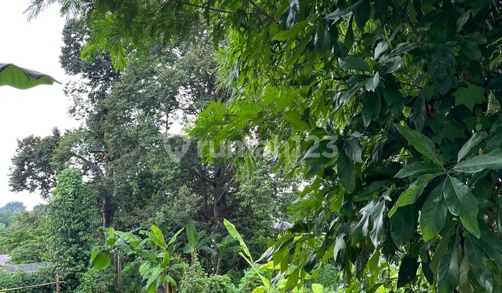 Jual Tanah Di Jl Raya Beringin Ngaliyan 1