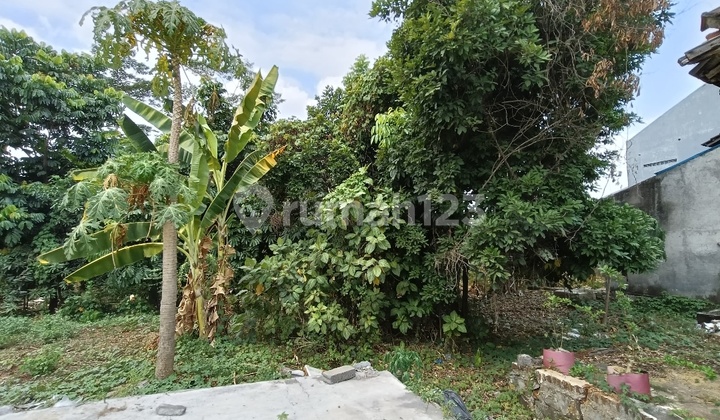 Land For Quick Sale On Ngaliyan Raya 1