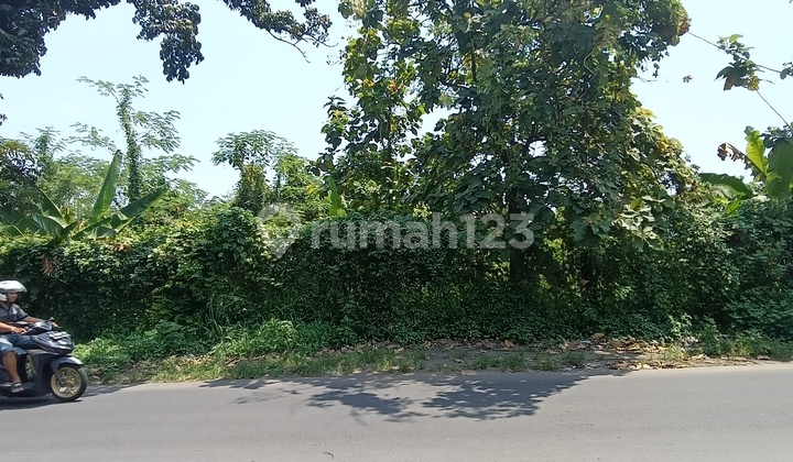 Tanah di Beringin Ngaliyan Semarang 2