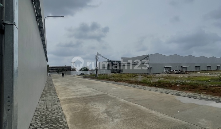 New Warehouse in Strategic Area Near Airport with Container Access New Warehouse in Strategic Area Near Airport with Container Access