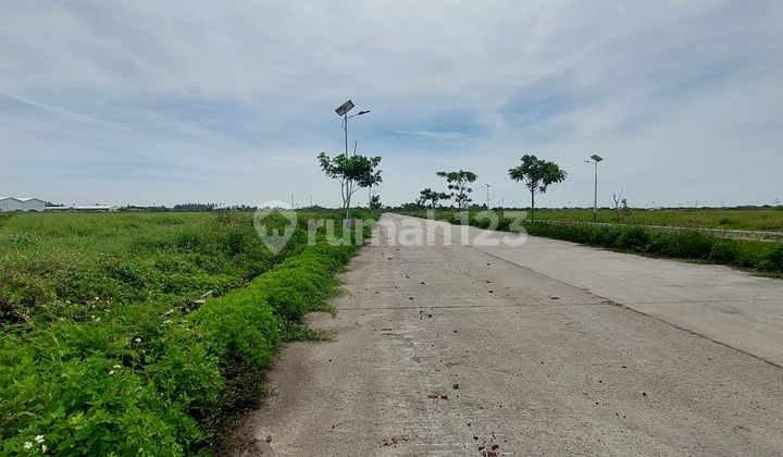 Laksana Plot Cheap Price Certificate can be Paired / Individual