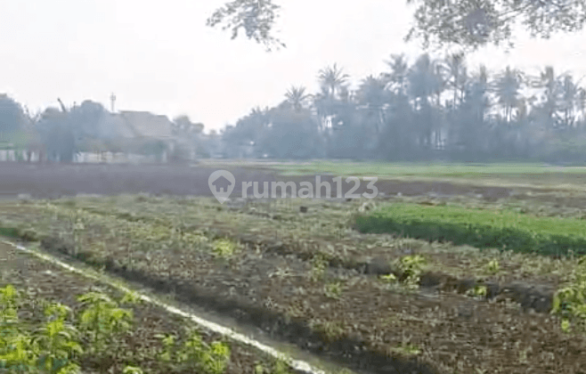 Dijual Tanah di Jati Mulya, Sepatan Timur, Tangerang 1