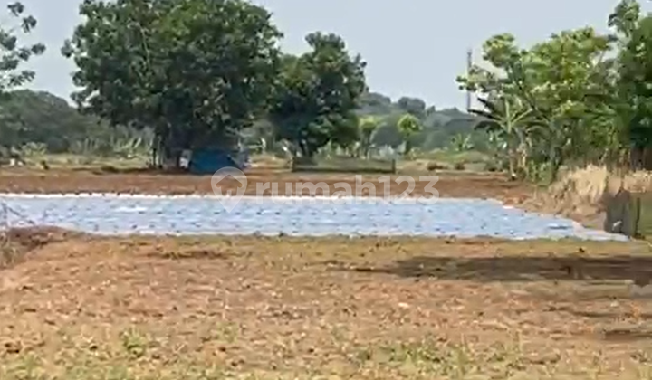 Dijual Tanah Luas 20ha di Kronjo, PIK 3, Tangerang Dijual Tanah Luas 20ha di Kronjo, PIK 3, Tangerang