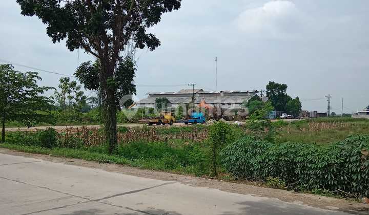 Tanah SHM Nol Poros Jalan Kecamatan Kesamben Watu Dakon Jombnag