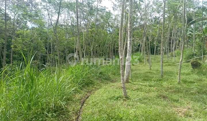 Tanah SHM 2700 m² di Desa Tajinan
Kabupaten Malang 12 km Alun-alun Kota Malang