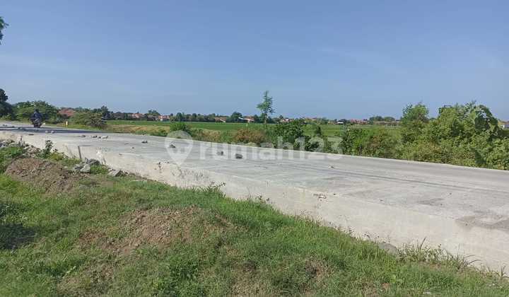 Tanah SHM Lokasi Strategis Cocok untuk Ruang Usaha di Jombang Tanah SHM Lokasi Strategis Cocok untuk Ruang Usaha di Jombang