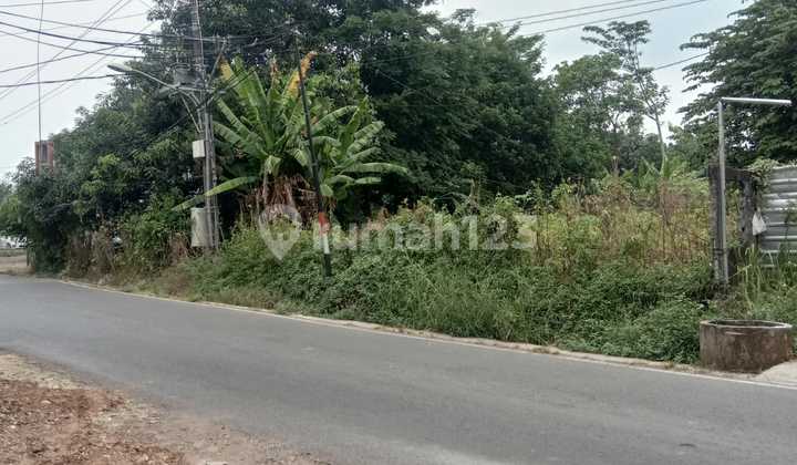 Tanah Murah Mulawarman Selatan Raya Dekat Kampus Undip Tembalang 1